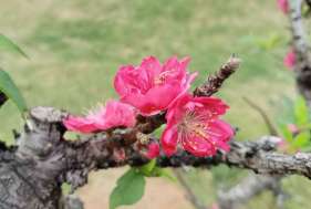 ���Խй��ӵ�����