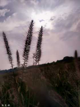 ɳͷ��Χ�ġ�����ݡ�