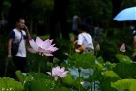 ���ա����ɣ�