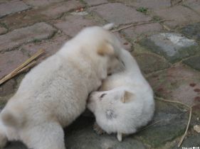 �Ҽң���������Ů