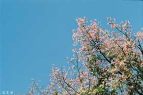 #135��Ƭ��ϰ��#������