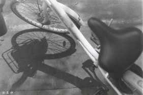 �����������Ԫ�ơ�135�ڰ׽���