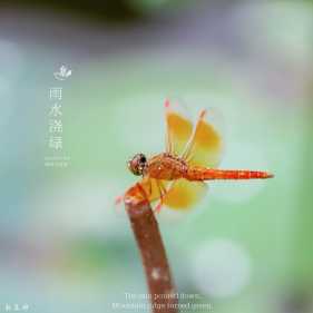 ����úܺã��������ڳ�