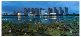 ����ˮͥ�ĺɻ�