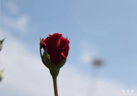 ȥ����ļ���500D��������ͼ��������