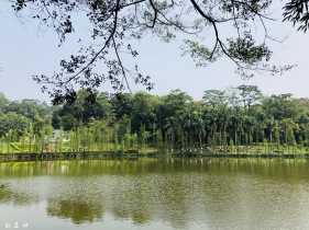 ����úܺã��������ڳ�