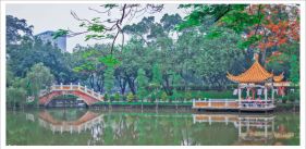 �Ļ���԰���һ���˻�