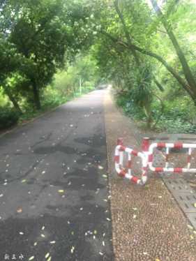 ��־���ʤ��