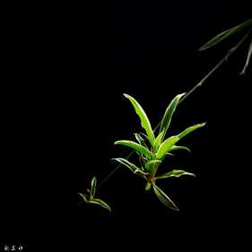 ���ĵ���