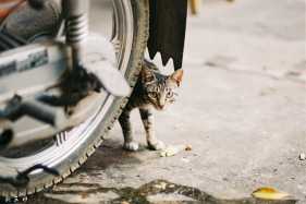 #135��Ƭ��ϰ��#